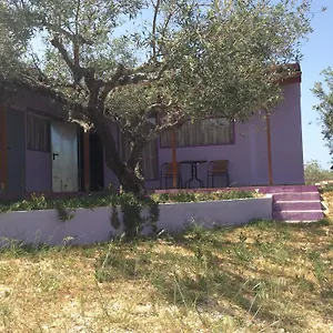 Alex's Studio , Karteros Greece